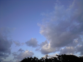 d0240983_20164139.jpg