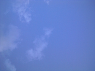 d0240983_2016596.jpg