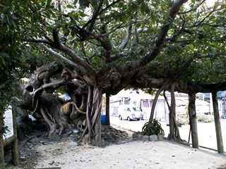 c0018489_05498.jpg