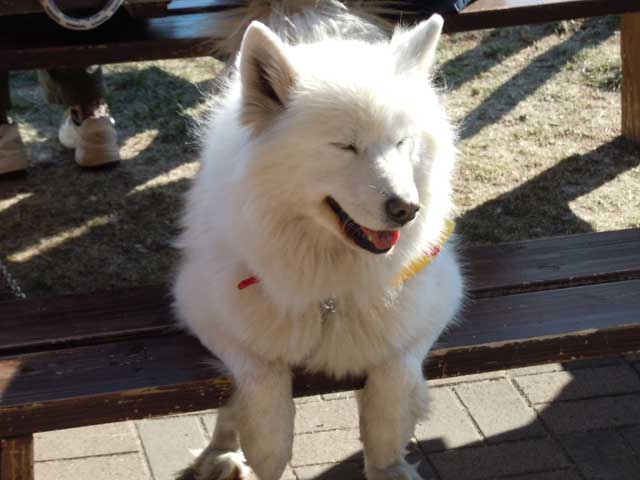 b0120492_171350100.jpg