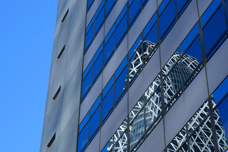 a0185693_8381026.jpg