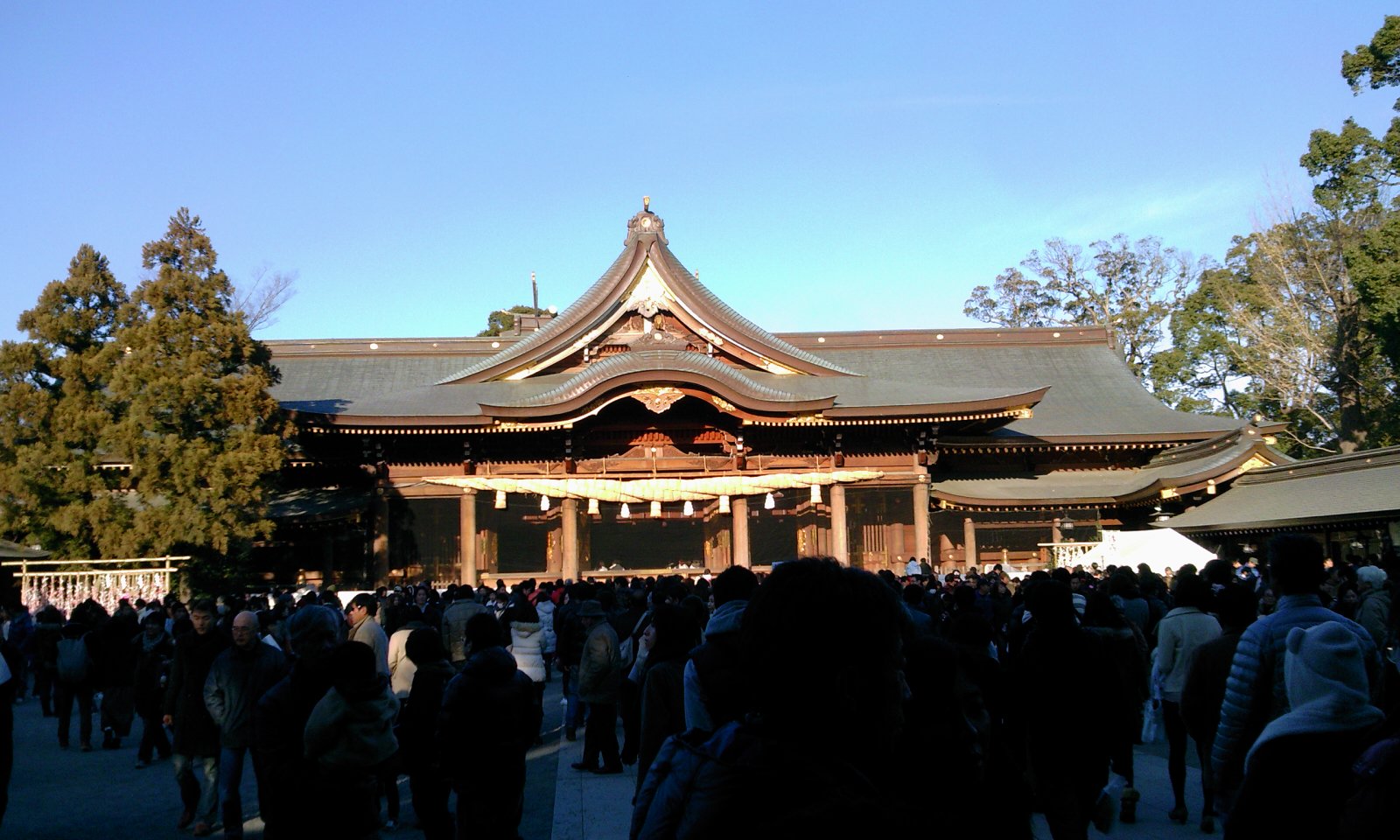 e0007801_117385.jpg