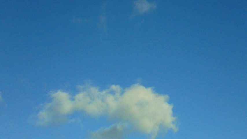 d0149105_16373257.jpg