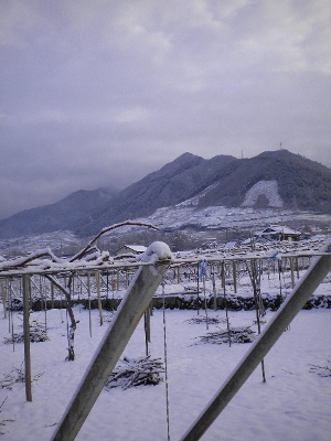 c0229312_153135.jpg