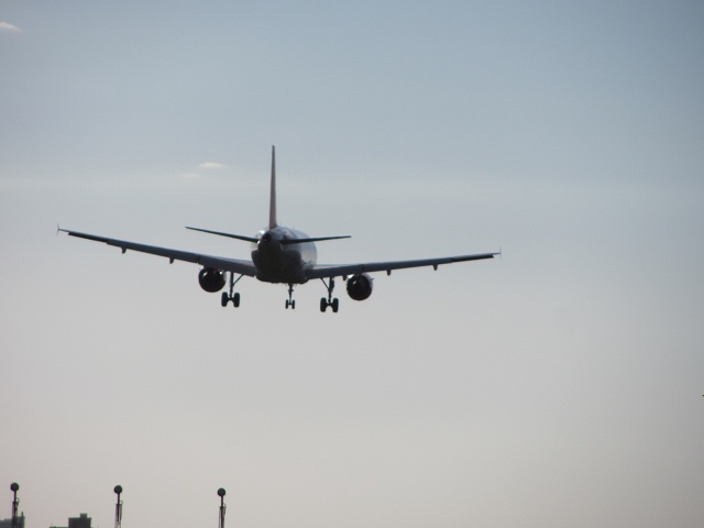 c0167813_718234.jpg