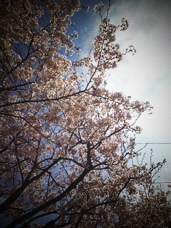 c0002218_19454999.jpg