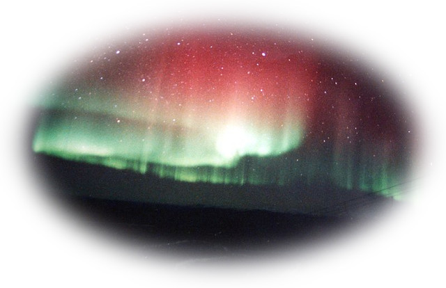 c0002218_1950384.jpg