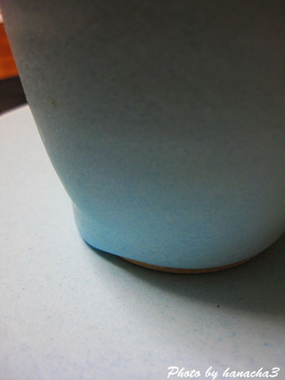 b0032921_3155840.jpg