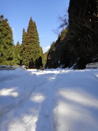 c0189724_20275350.jpg