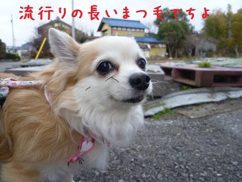 b0138430_10422611.jpg