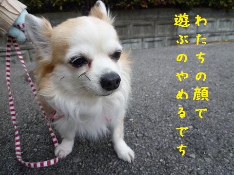b0138430_10432599.jpg