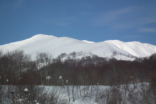 f0118332_23364770.jpg