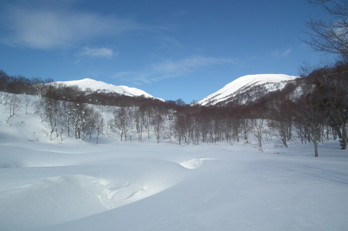 f0118332_23371882.jpg