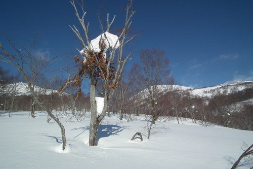 f0118332_23414658.jpg