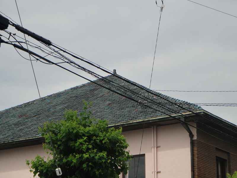 f0208737_829797.jpg
