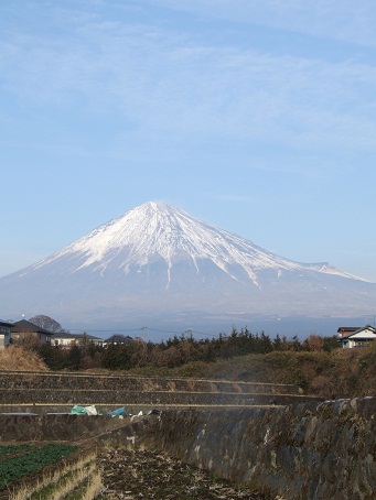 b0089338_239578.jpg