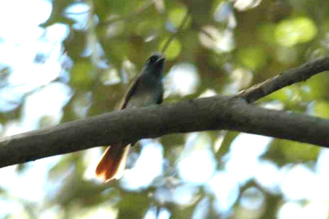 c0172139_212452100.jpg