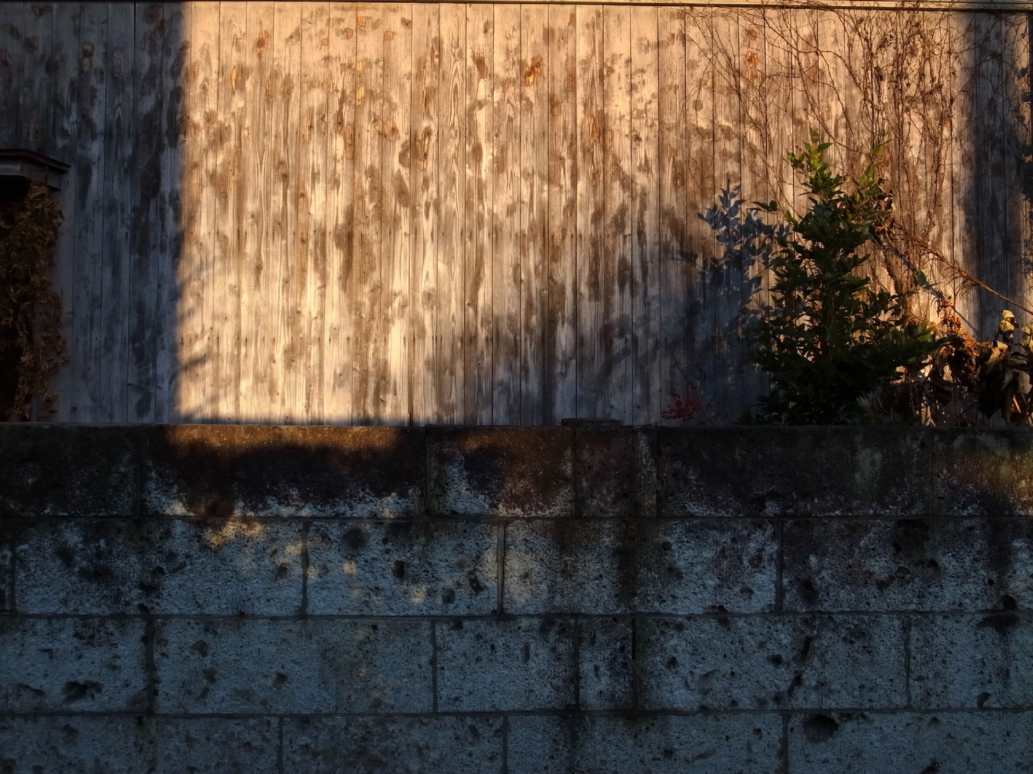 e0009147_1743514.jpg