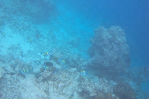 f0190653_16281667.jpg