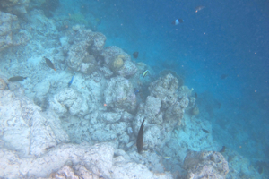 f0190653_16282254.jpg