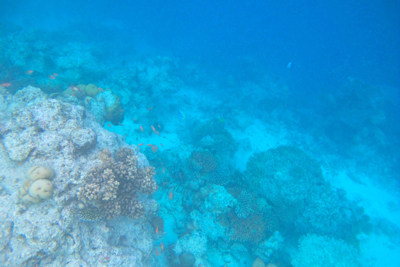 f0190653_16343824.jpg
