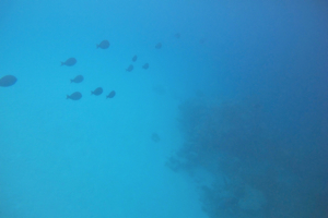 f0190653_16345177.jpg