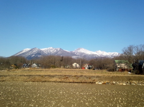 e0151566_1784550.jpg