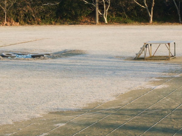 b0197668_11352924.jpg