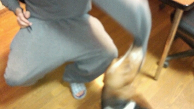 f0204072_21323886.jpg