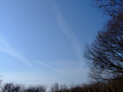 a0105480_2319448.jpg