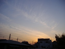 a0142083_220414.jpg