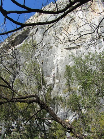 e0172085_1472442.jpg