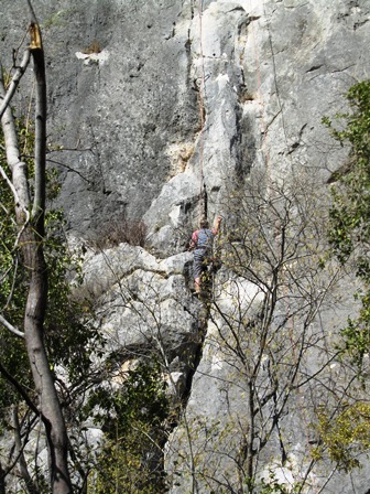 e0172085_147986.jpg
