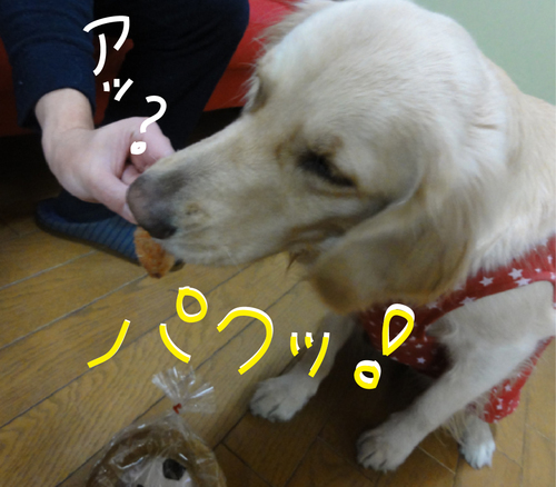 c0085188_11482513.jpg