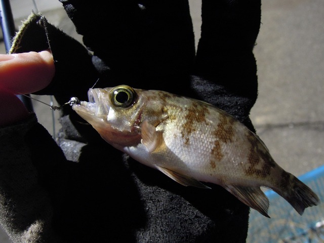b0233990_19372582.jpg