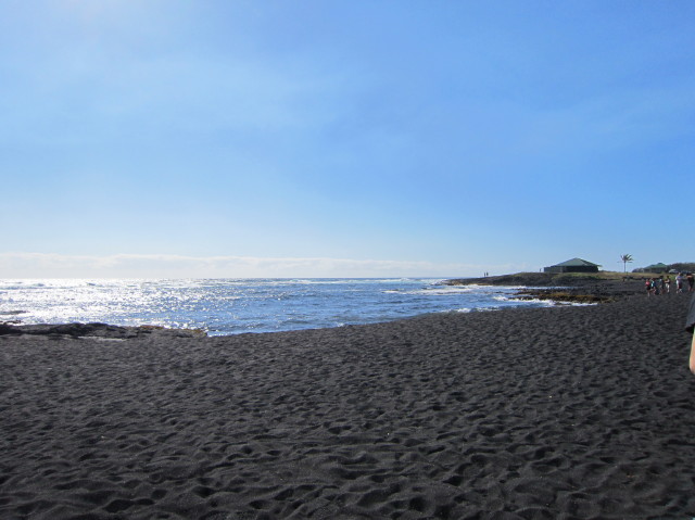 d0098295_18245734.jpg