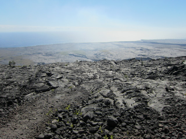 d0098295_18402757.jpg