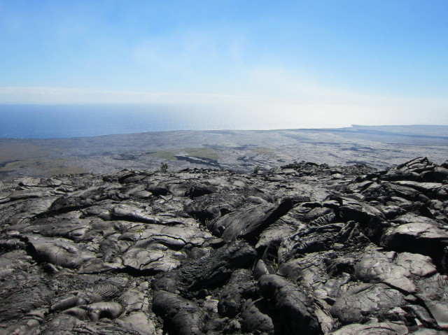 d0098295_18405459.jpg