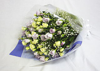 c0125996_1051286.jpg