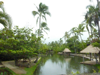 c0077697_14284722.jpg