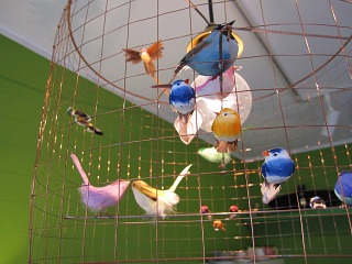 c0152002_2162135.jpg