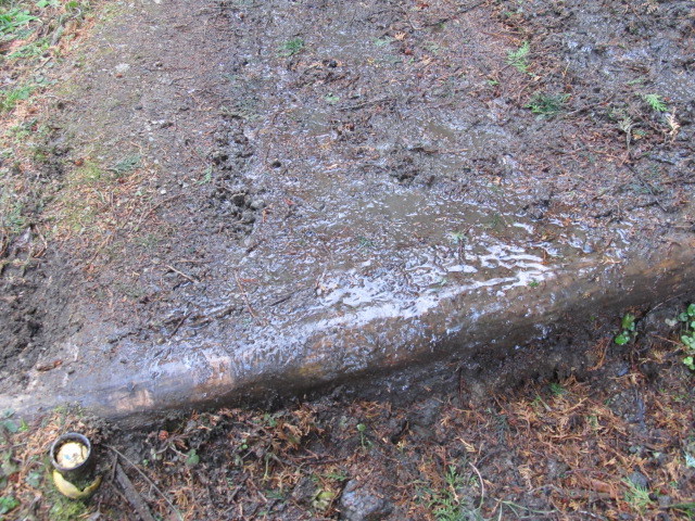 e0157602_2191593.jpg