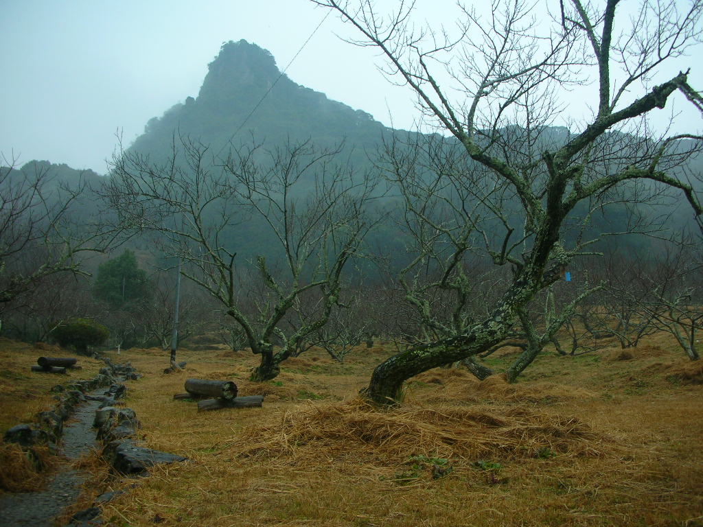 f0146802_17534711.jpg
