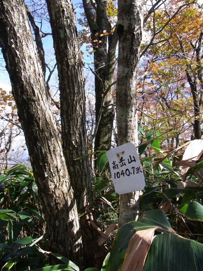 c0197004_17222626.jpg