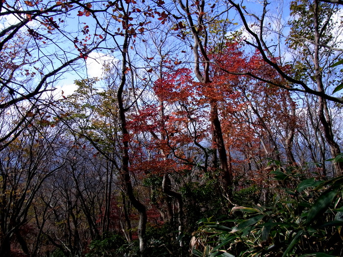 c0197004_1722887.jpg