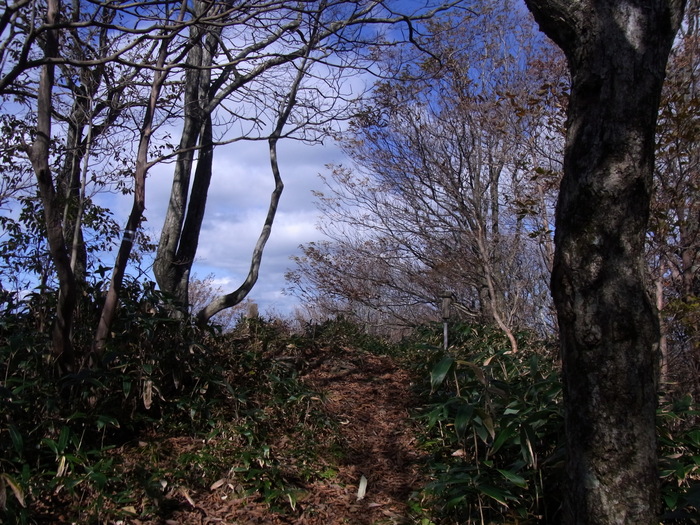 c0197004_17245216.jpg
