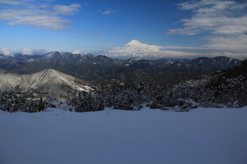 a0188405_9353074.jpg