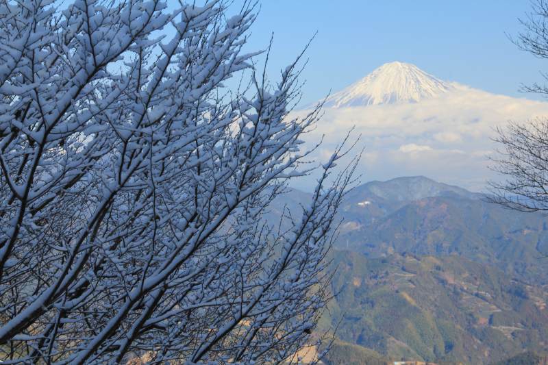 a0188405_9363748.jpg