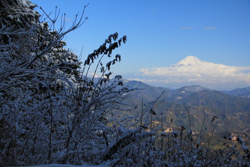 a0188405_936516.jpg