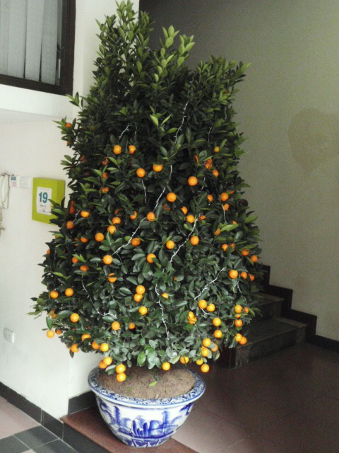 d0252505_17365911.jpg